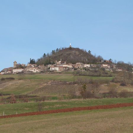 Chateau Des Aiguilles Saint-Rémy-de-Chargnat Zewnętrze zdjęcie